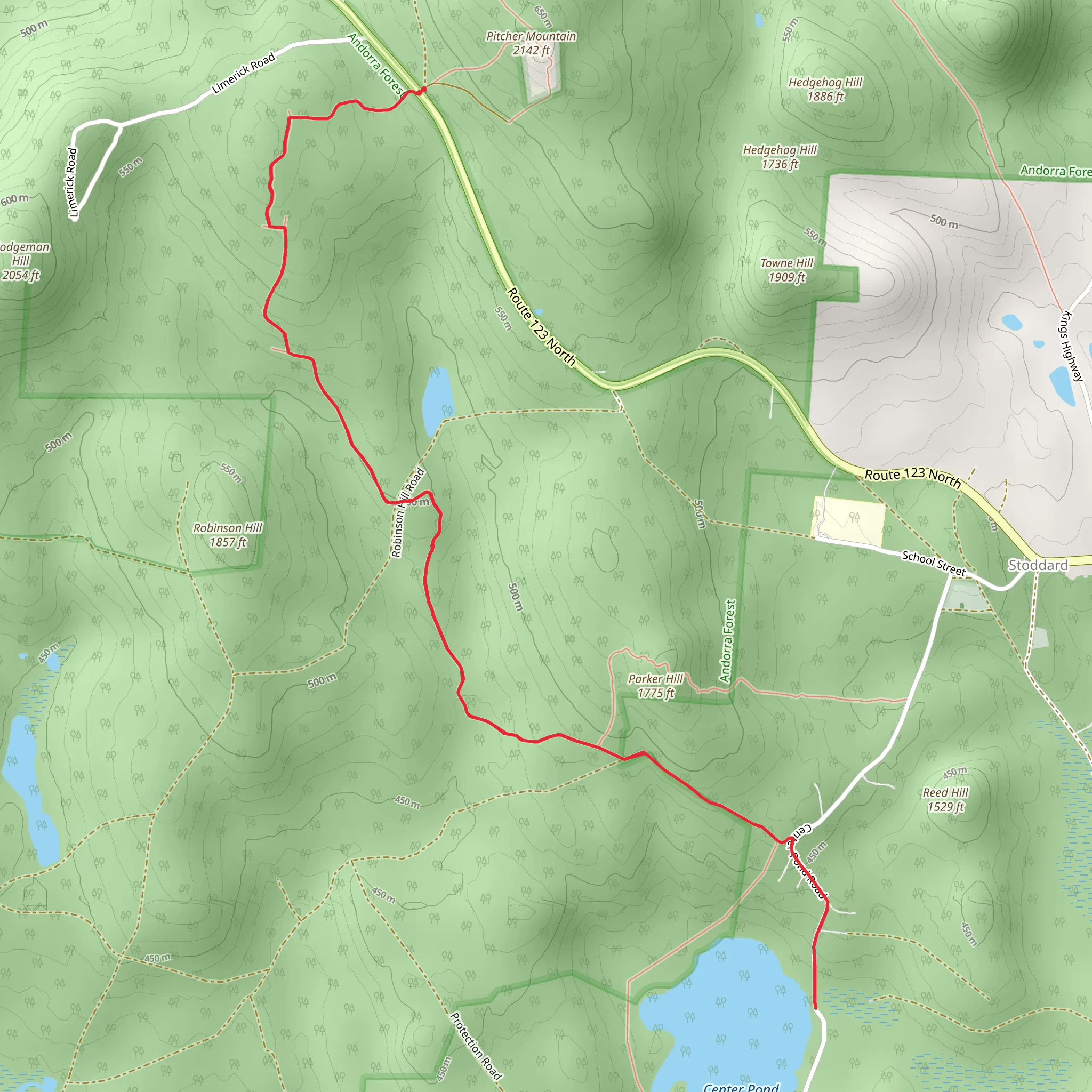 Center Pond via Monadnock Sunapee Greenway Trail mobile static map