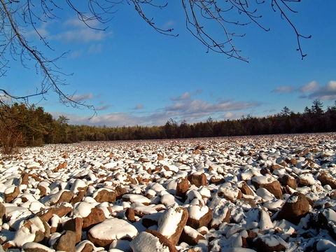 Sand Spring Trail - Hickory Run