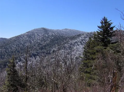 Balsam Mountain Trail