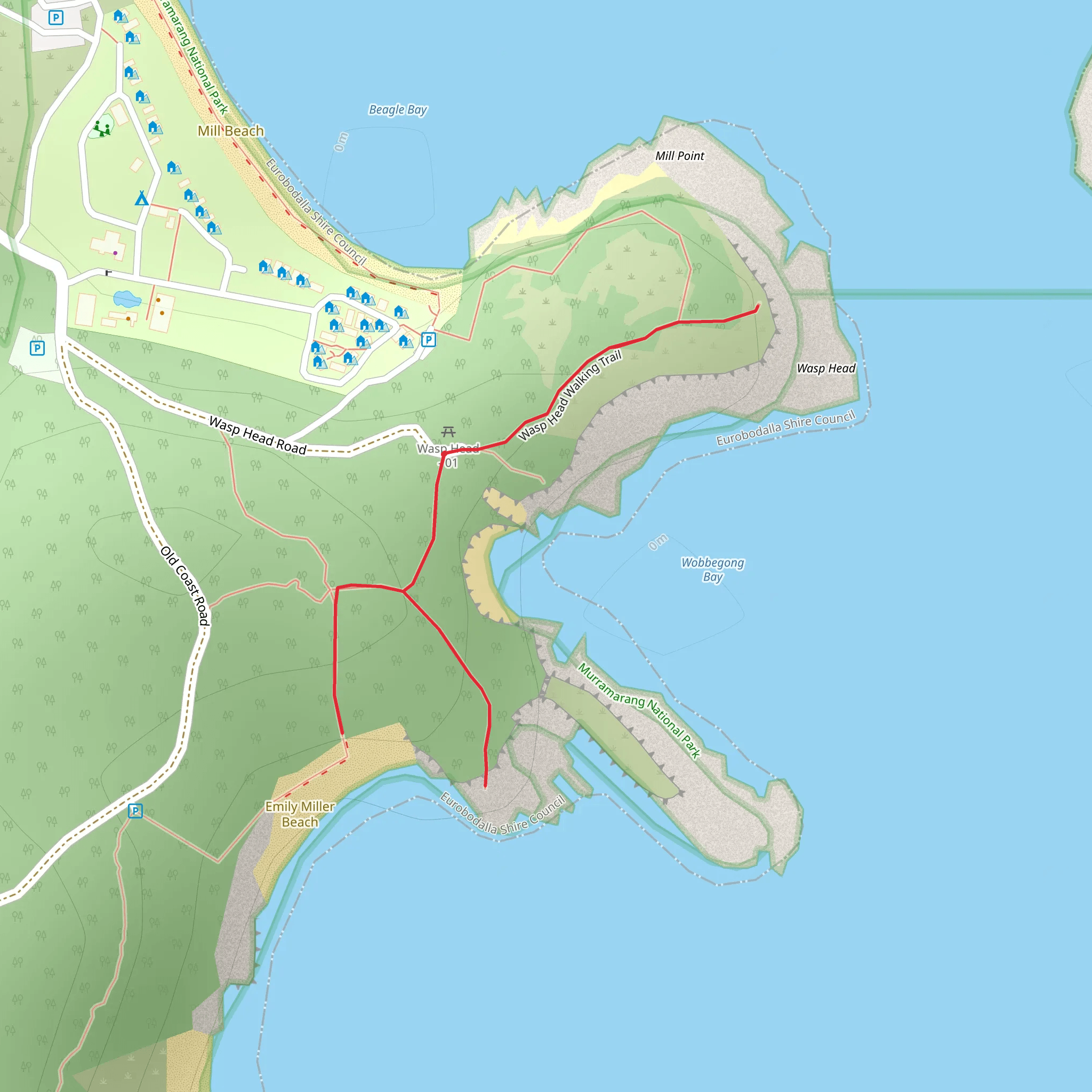 Wasp Head Walk mobile static map