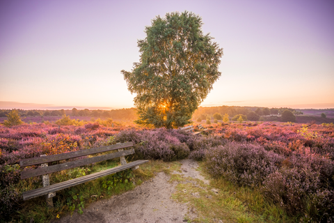 Veluwe Zwerfpad