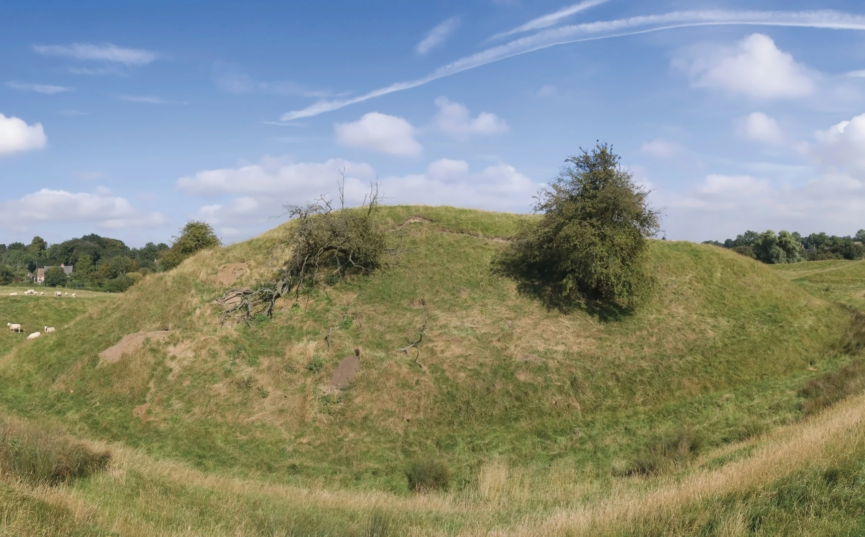An image depicting the trail Shelton and Yelden from Upper Dean and its surrounding area.