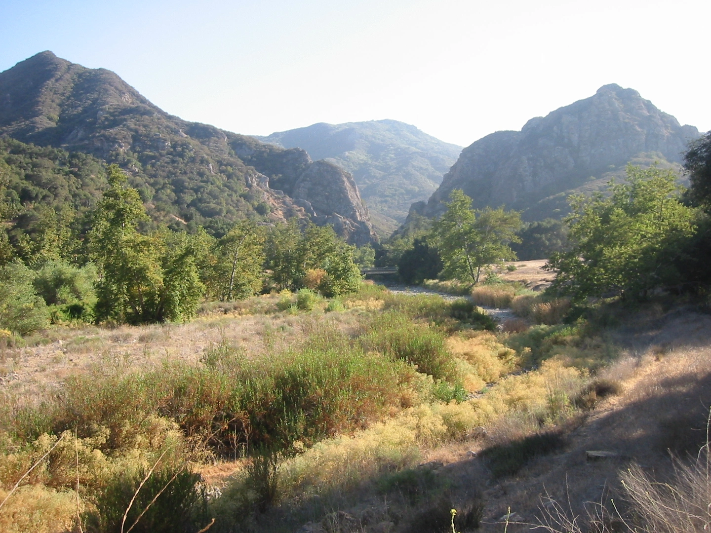An image depicting the trail McAuley Peak via Backbone Trail and its surrounding area.