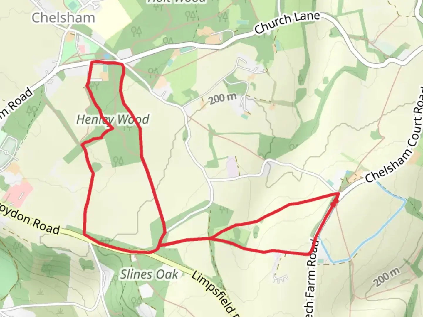 An image depicting the trail Henley Wood and its surrounding area.