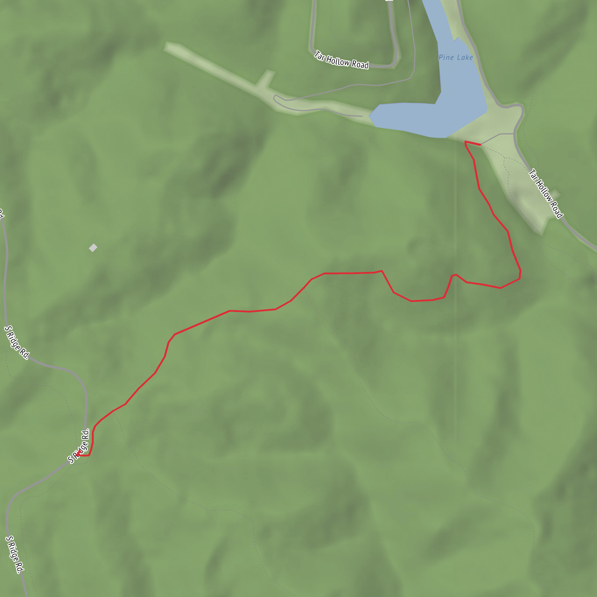 Pine Lake via Logan Trail - Firetower mobile static map