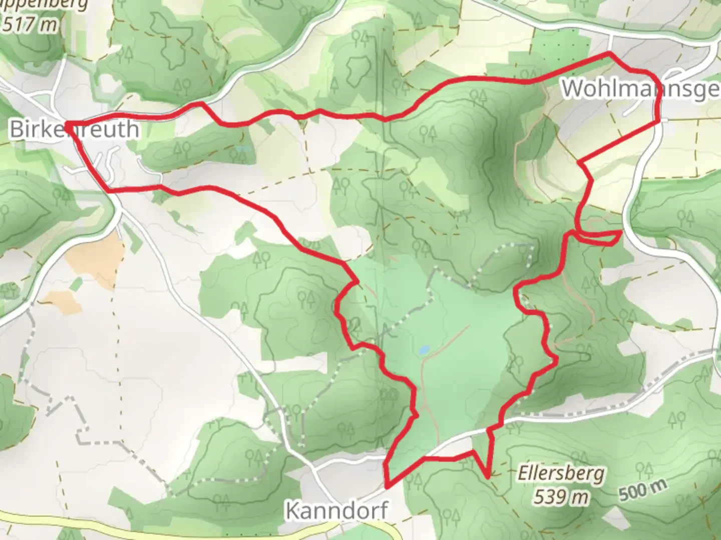 An image depicting the trail Oberjaegermarter and Heiligenstadt Wohlmannsgesees Loop and its surrounding area.