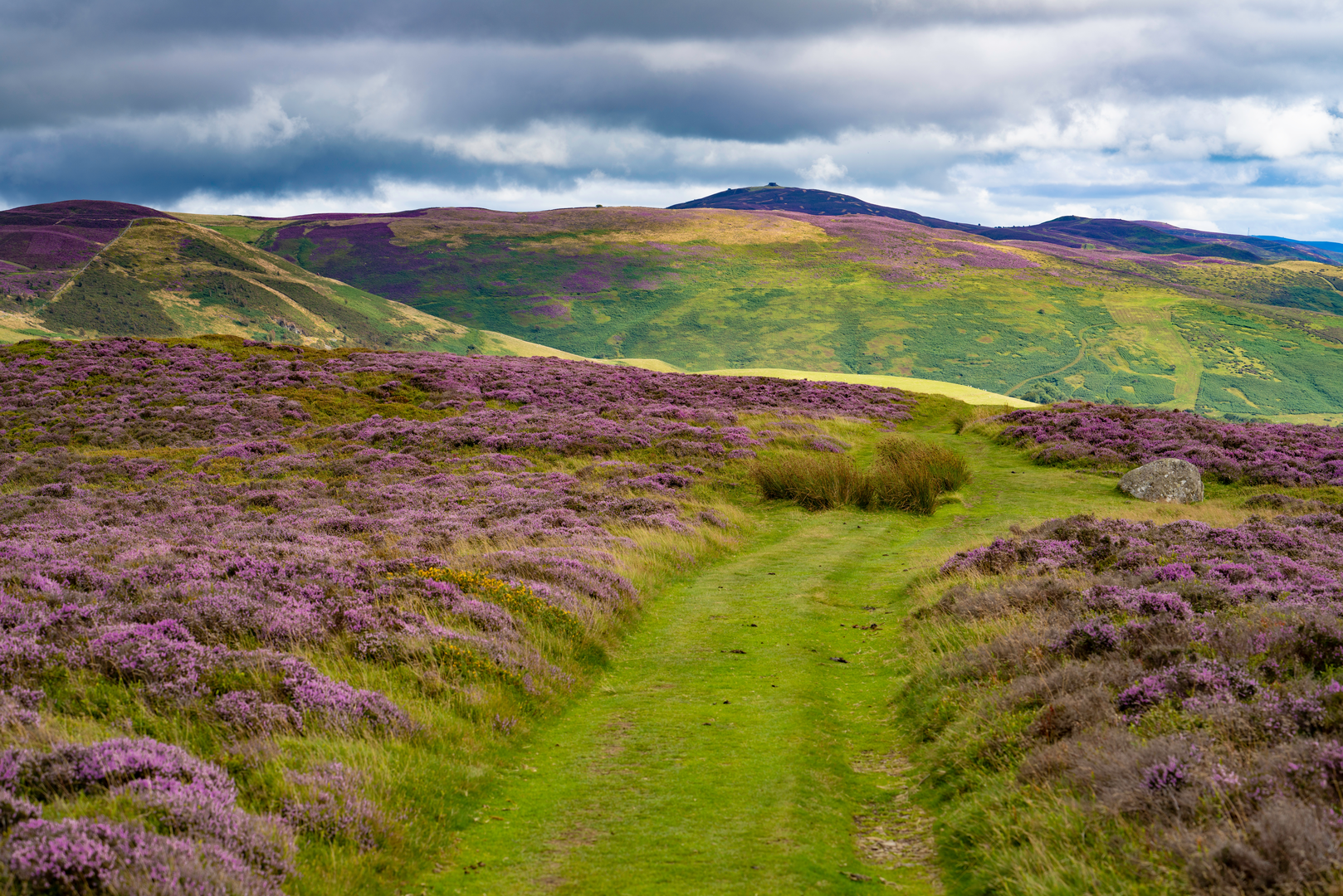 An image depicting the trail Cilcain - Moel Arthur and Moel Famau and its surrounding area.