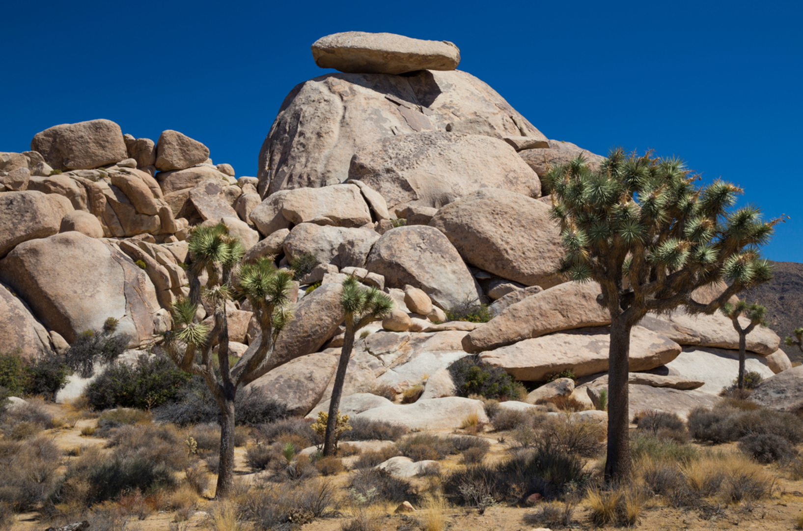 An image depicting the trail Cap Rock Trail and its surrounding area.