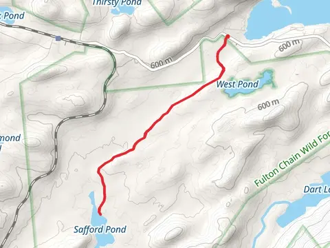 Safford Pond Trail