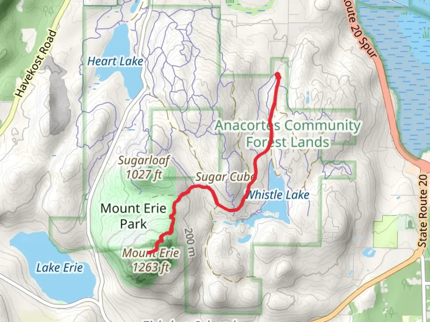 An image depicting the trail Mount Erie Out and Back and its surrounding area.