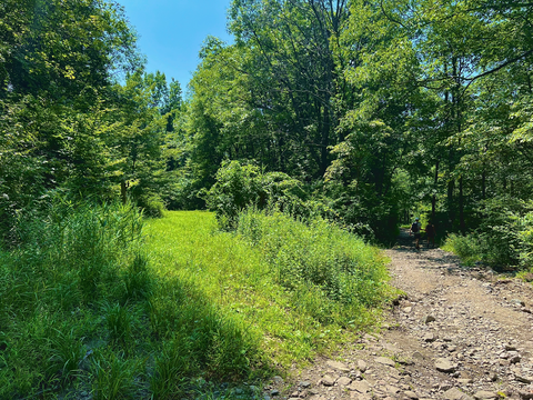 South Beacon Mountain via Breakneck Ridge Trail and Nimham Trail