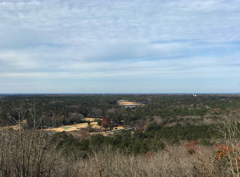 Pine Mountain Trail