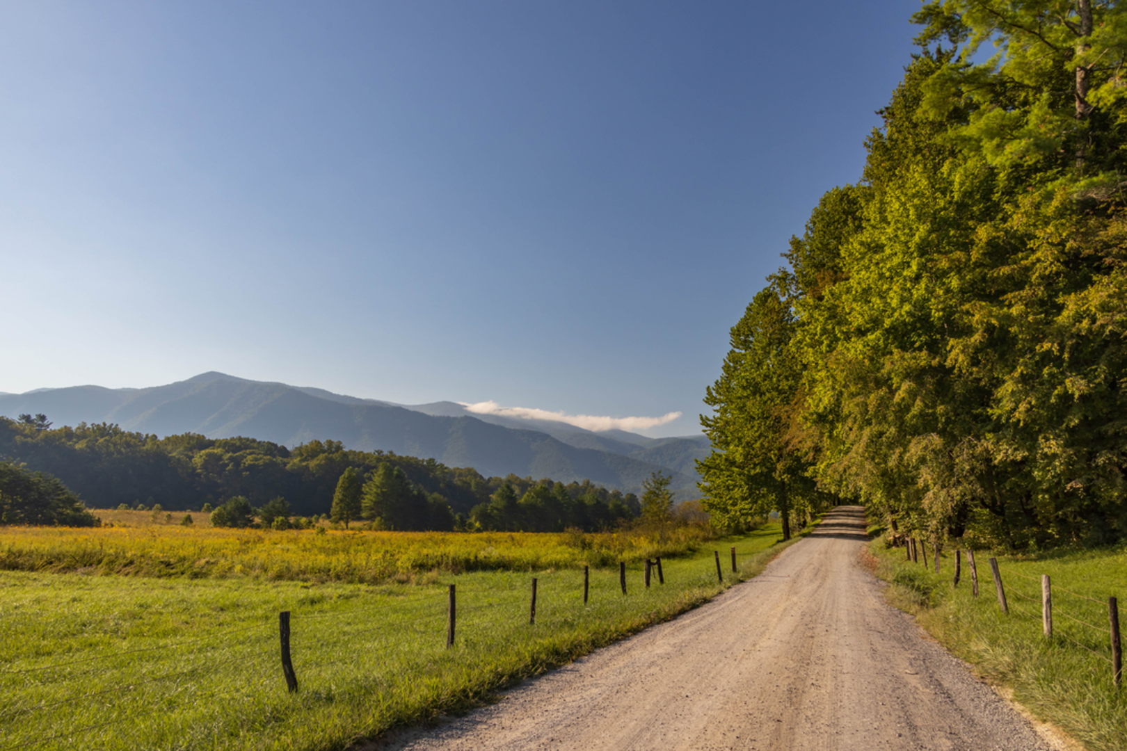 An image depicting the trail Rich Mountain, Indian Grave Gap, Crooked Arm Trail and its surrounding area.