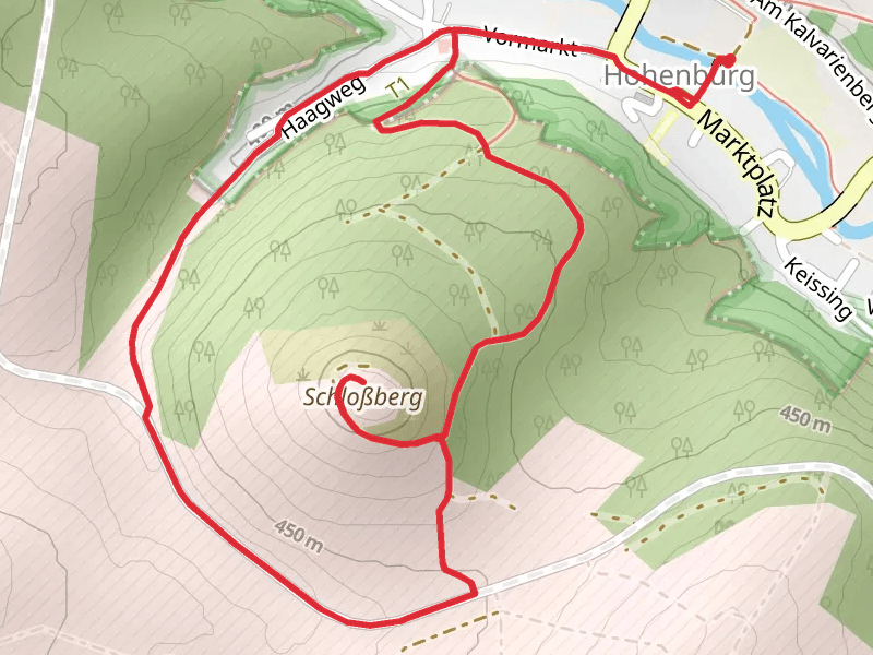 Burgruine Hohenburg Loop