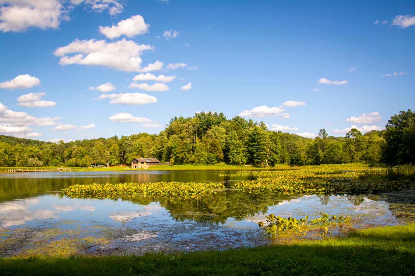 An image depicting the trail Cross Country Trail and its surrounding area.