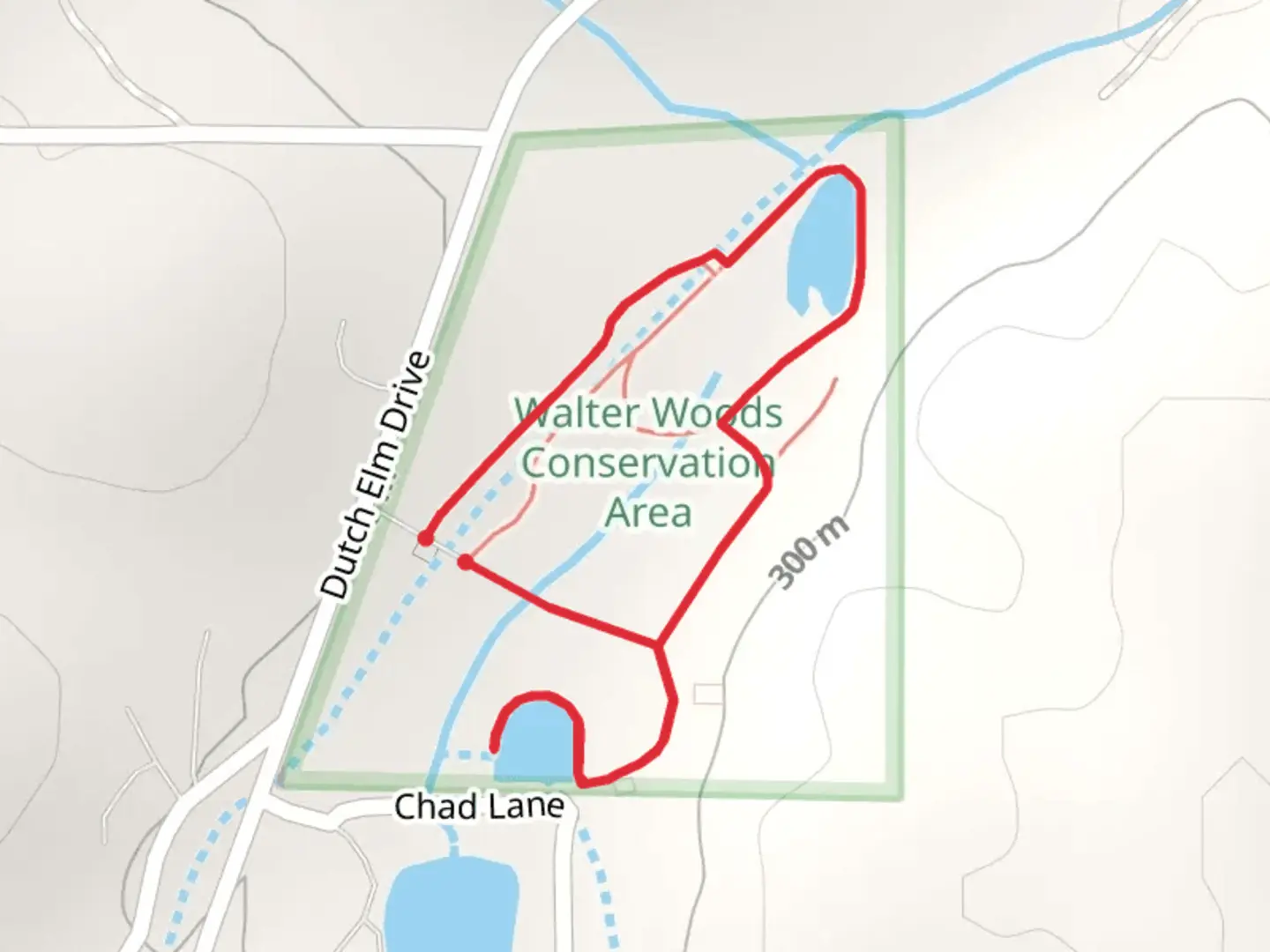 An image depicting the trail Dutch Elm Drive Loop and its surrounding area.