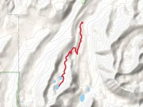 Fourmile Basin Lakes via CDT