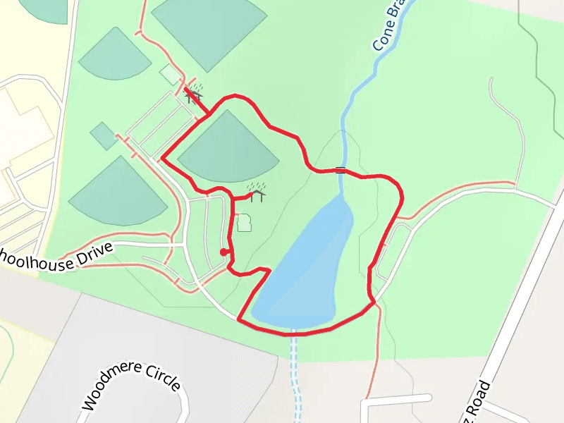 Cone Branch Loop
