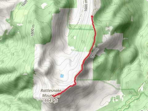 Rattlesnake Mountain