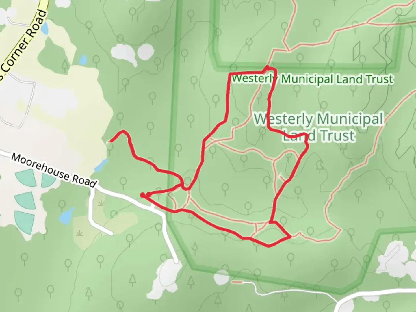 An image depicting the trail Wahaneeta Blue and Red Loop Trail and its surrounding area.