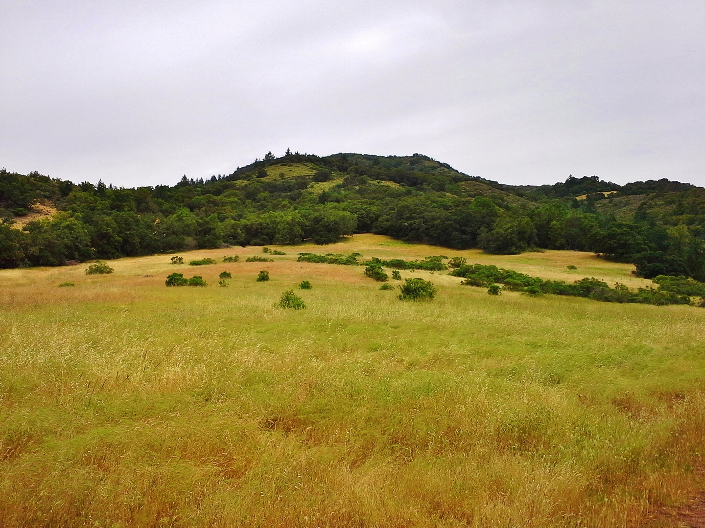 An image depicting the trail Vista and Lower Bald Mountain Loop Trail and its surrounding area.