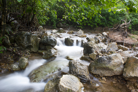 Trail 6
