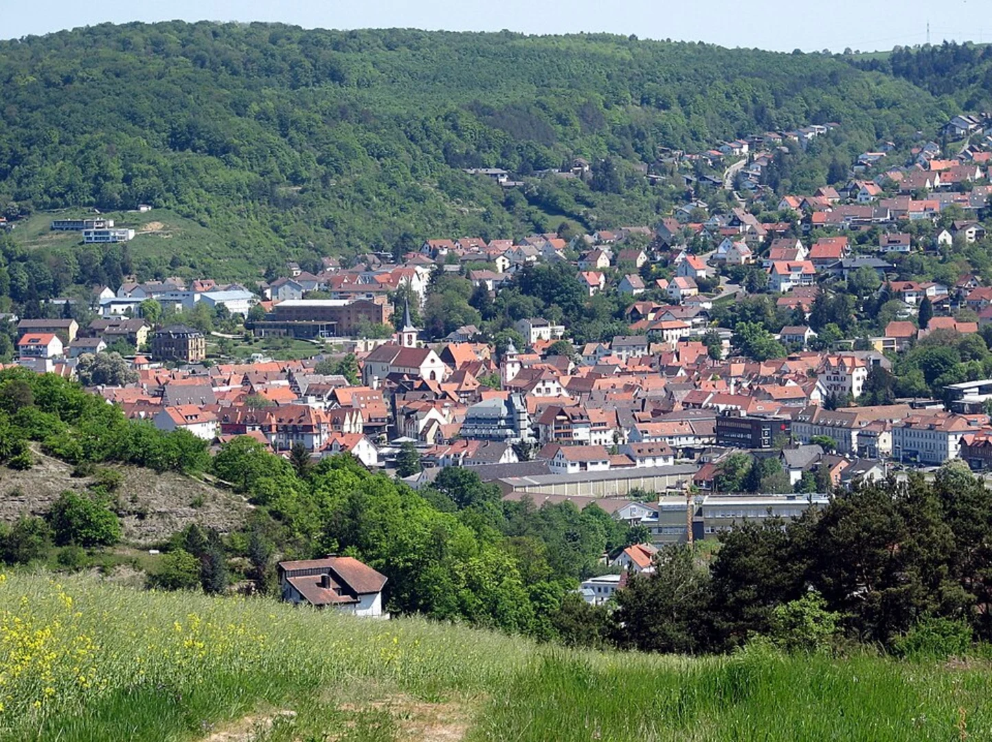 An image depicting the trail Großer Drachenstein, Elisabethenhöhe and Wilhelmsthaler See Loop via Urwaldpfad Eisenach and its surrounding area.
