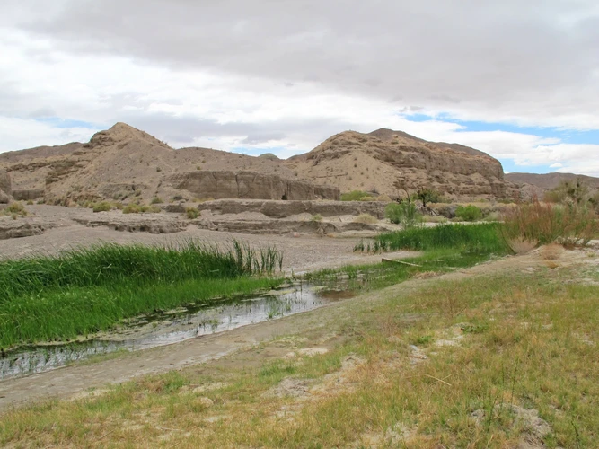 Mojave River Walk