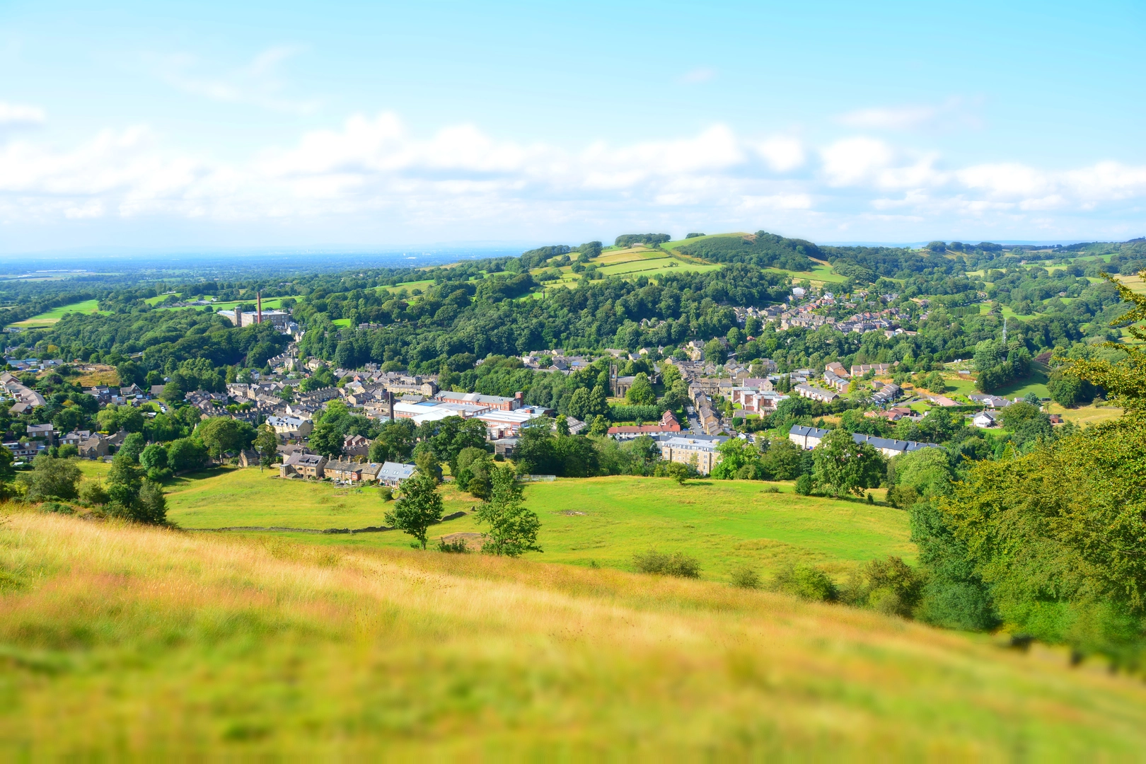 An image depicting the trail Bullock Smithy Hike and its surrounding area.