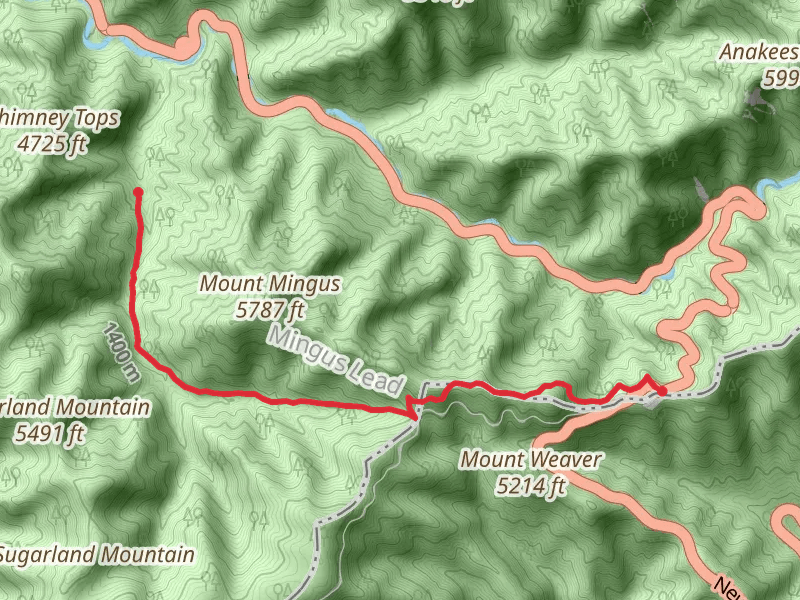Appalachian, Indian Gap and Road Prong Trail