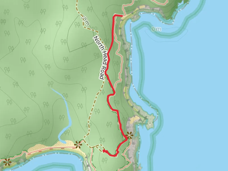 Honeysuckle Beach Track