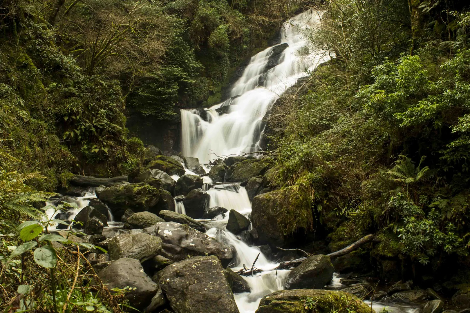 An image depicting the trail Torc Mountain and its surrounding area.