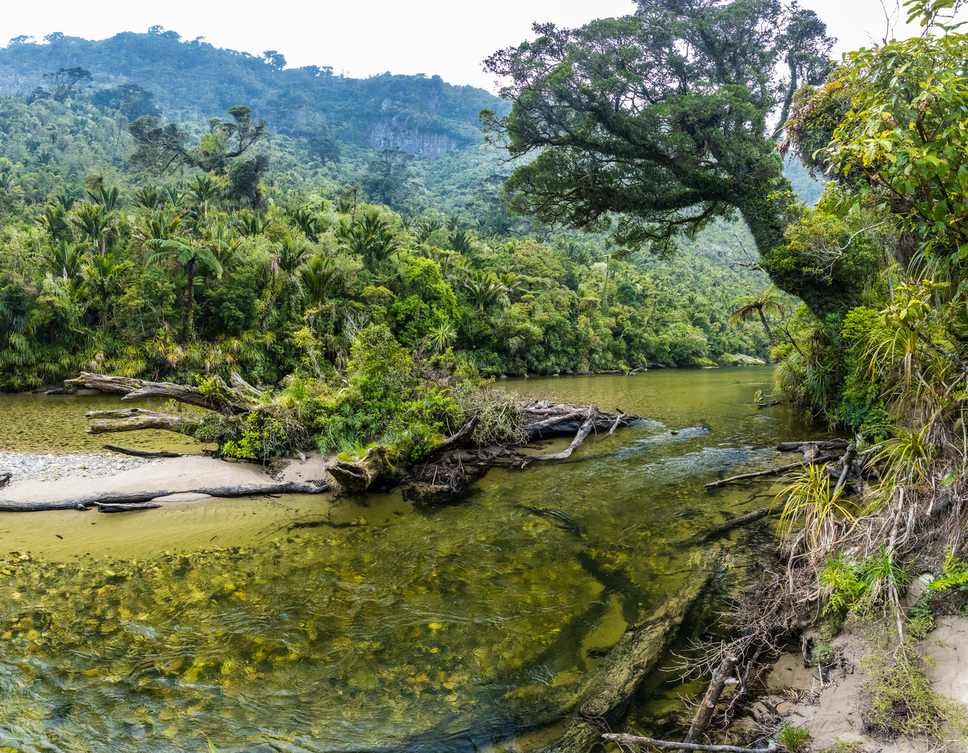 An image depicting the trail Paparoa Track and its surrounding area.