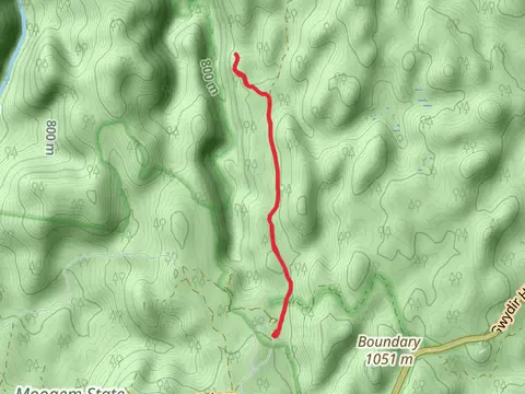 Duffer Falls Track
