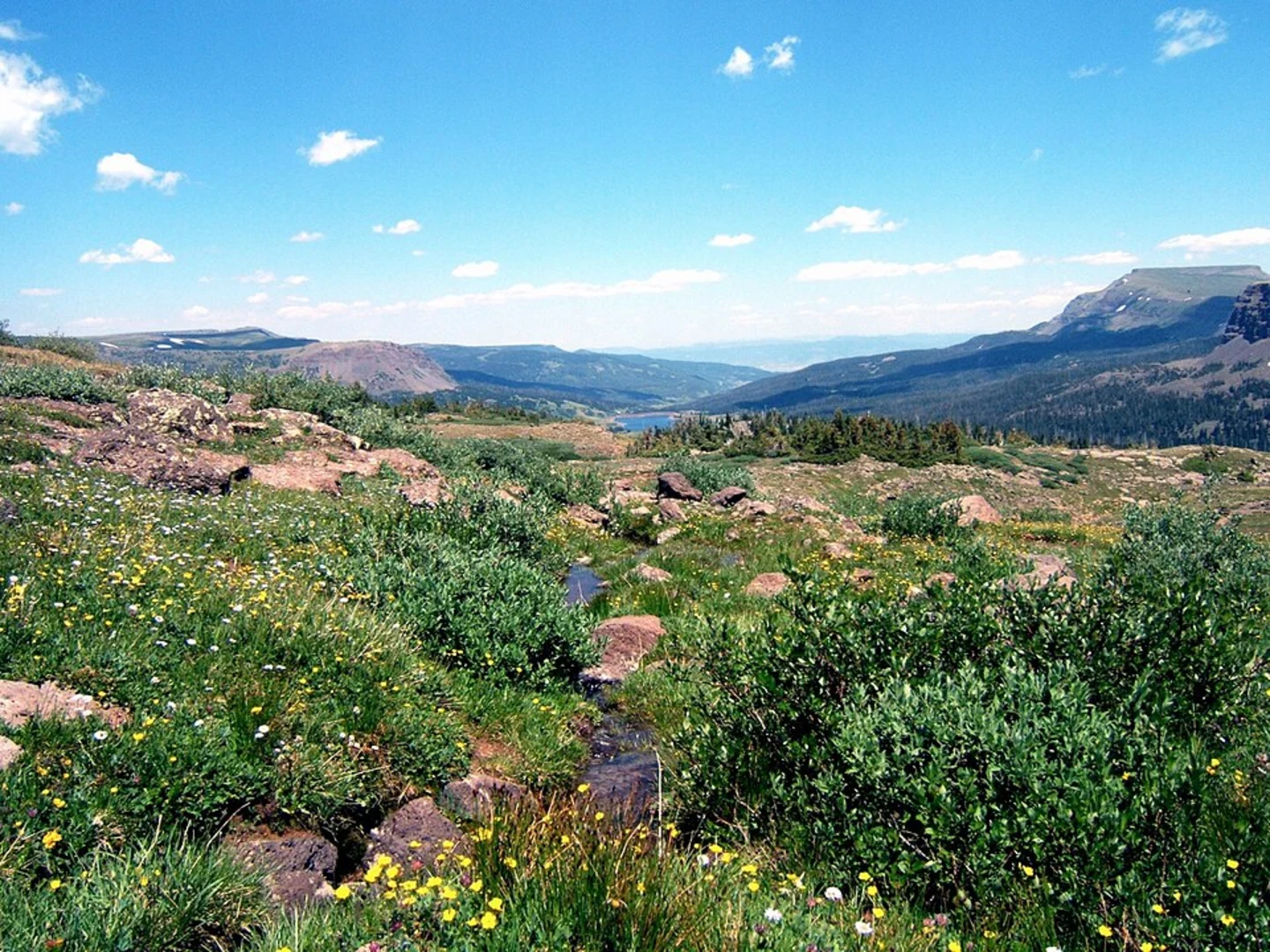 An image depicting the trail Stillwater Reservoir Loop and its surrounding area.