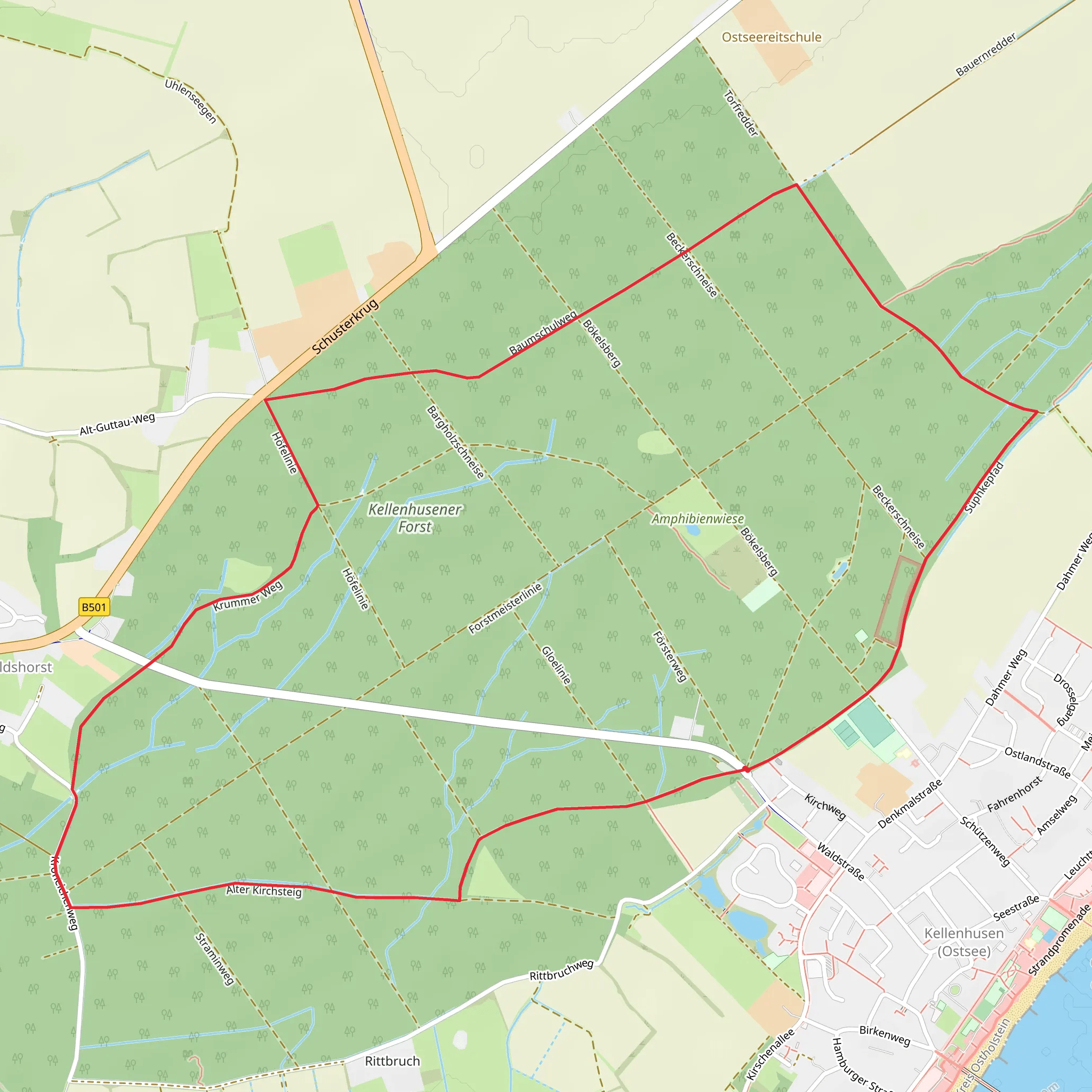 Waldroute Kellenhusen Loop mobile static map