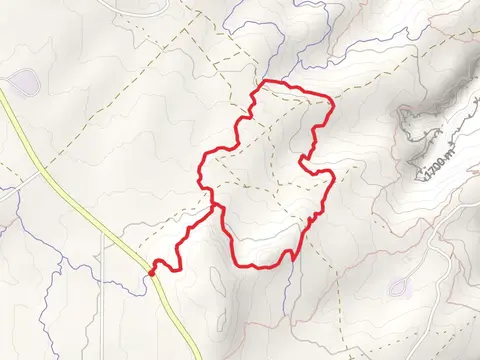 Mustang Loop