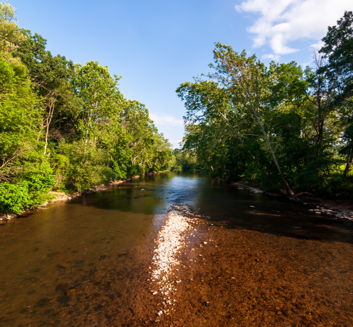An image depicting the trail Seneca Interpretive Trail and its surrounding area.