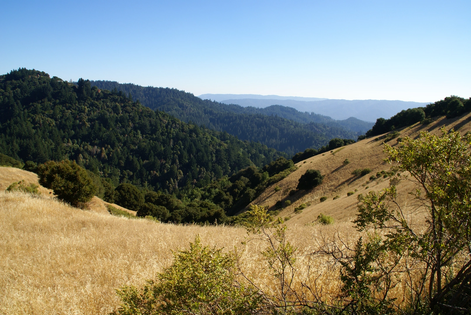 An image depicting the trail Sunny Jim and Ipiwa Loop Trail and its surrounding area.