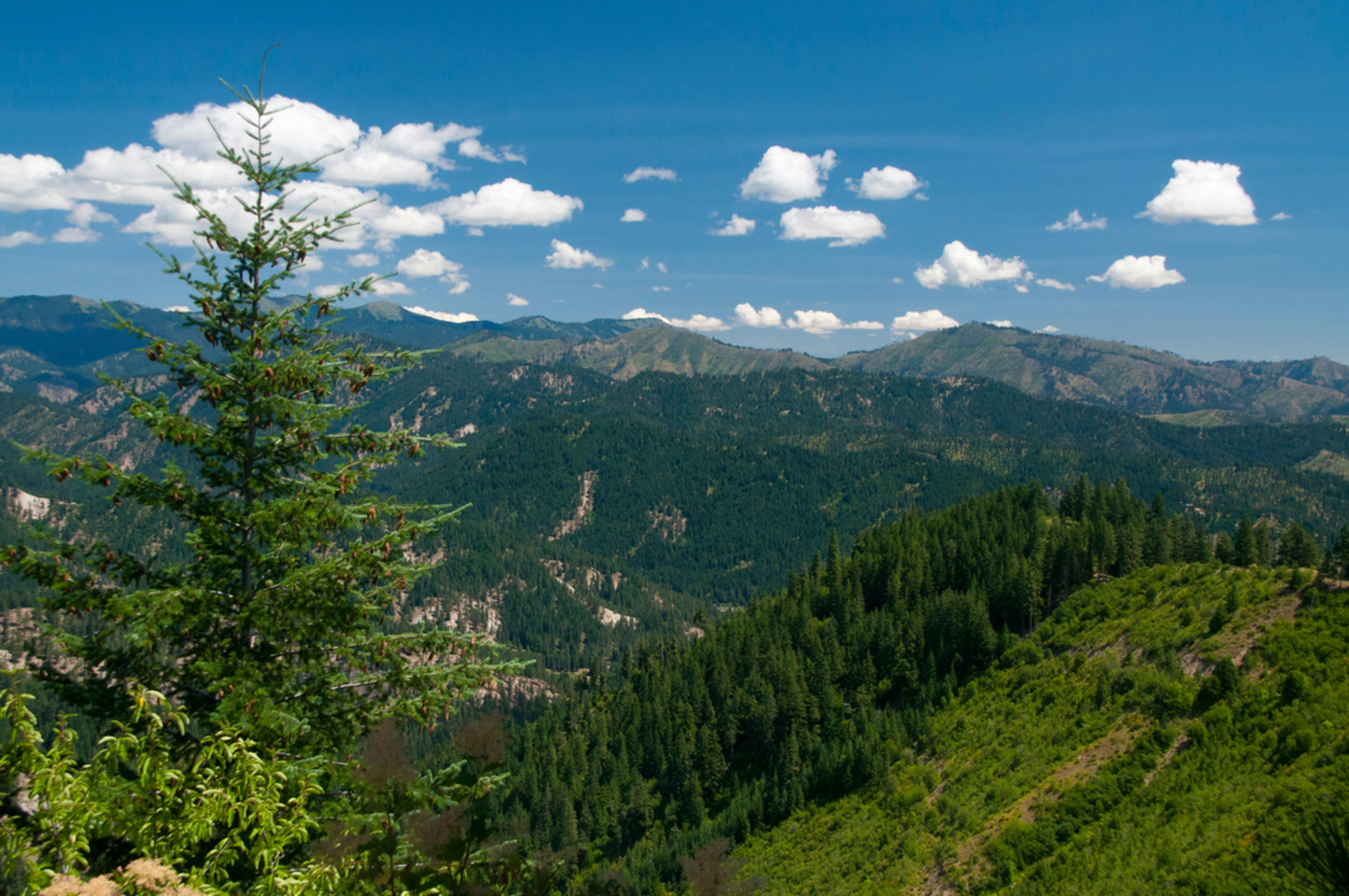 An image depicting the trail Freund Canyon Loop Trail and its surrounding area.