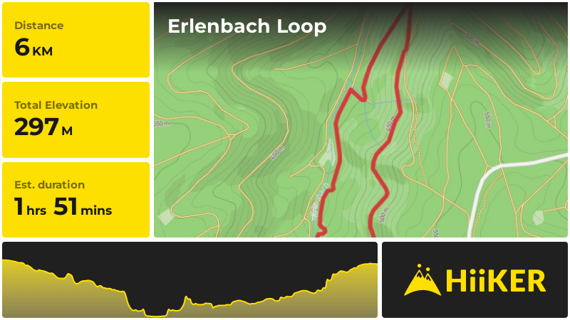 Erlenbach Loop | Südwestpfalz | Germany