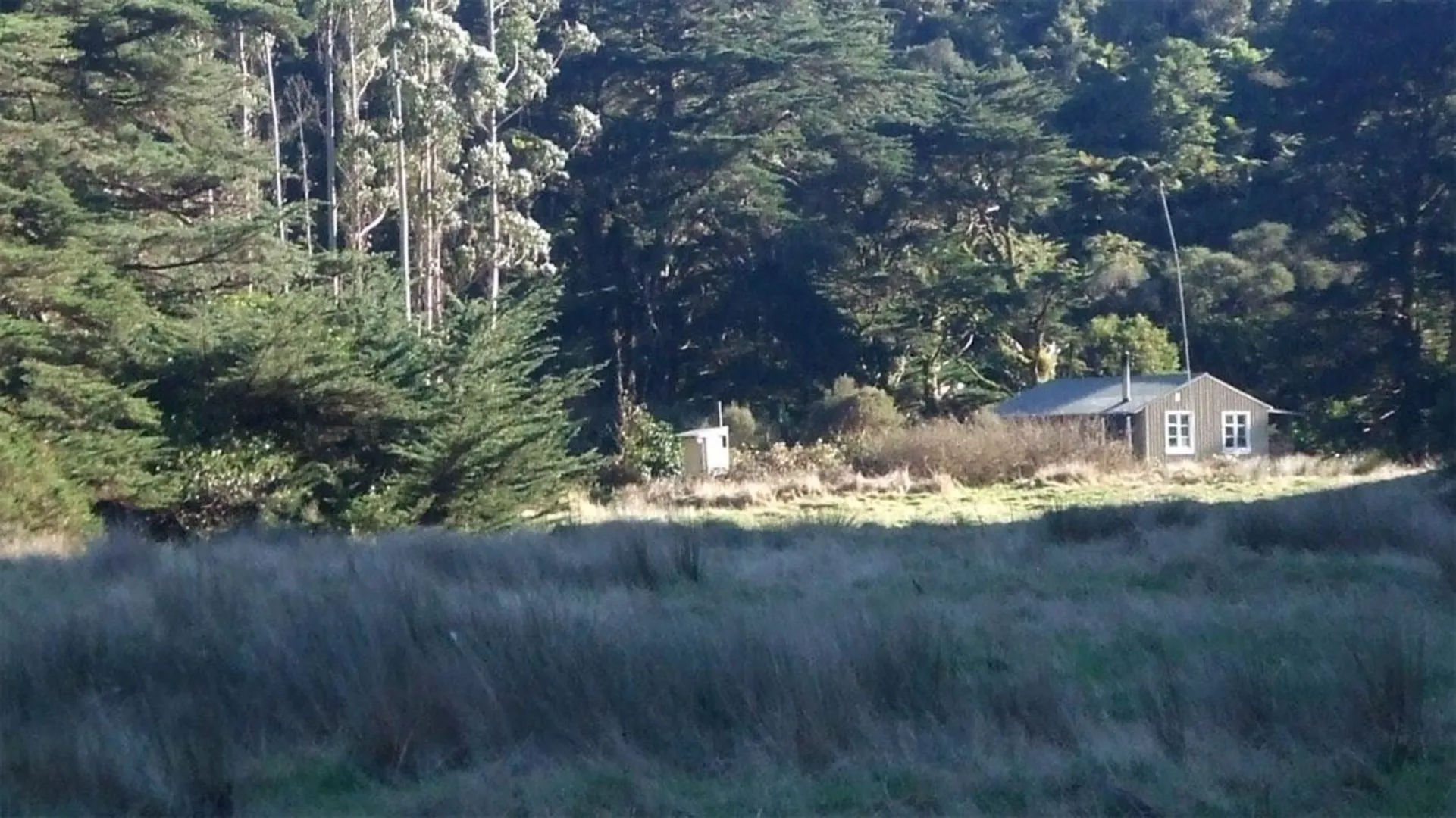 An image depicting the trail Mangatoa Track and its surrounding area.