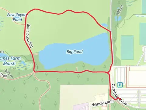 Big Pond Loop