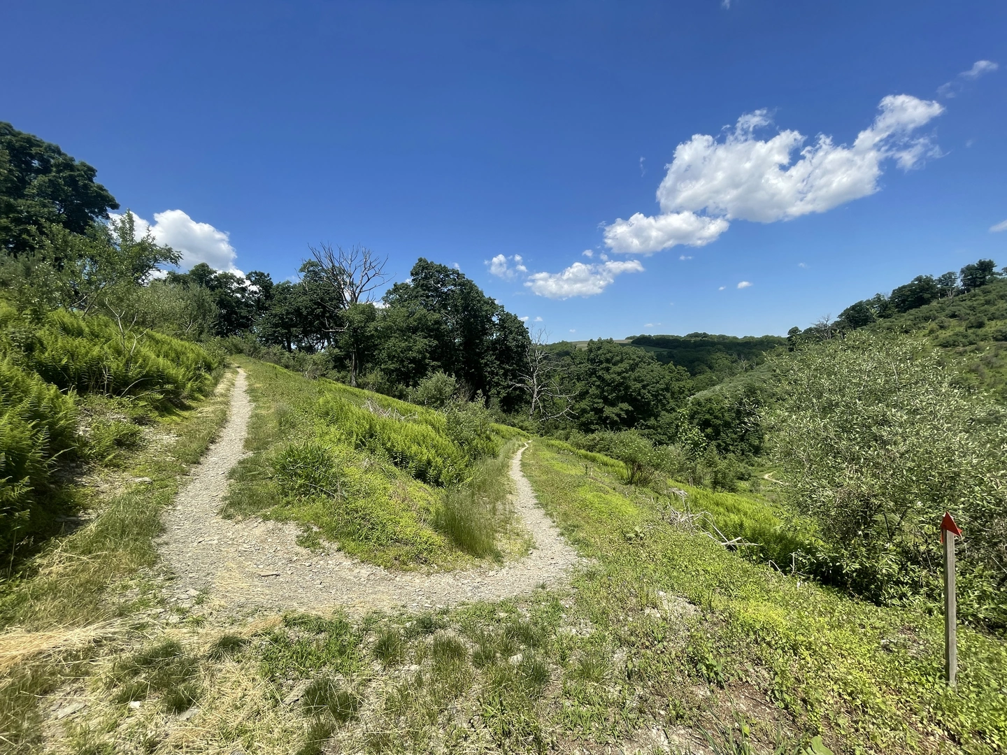 An image depicting the trail Jordan Creek Loop Trail and its surrounding area.