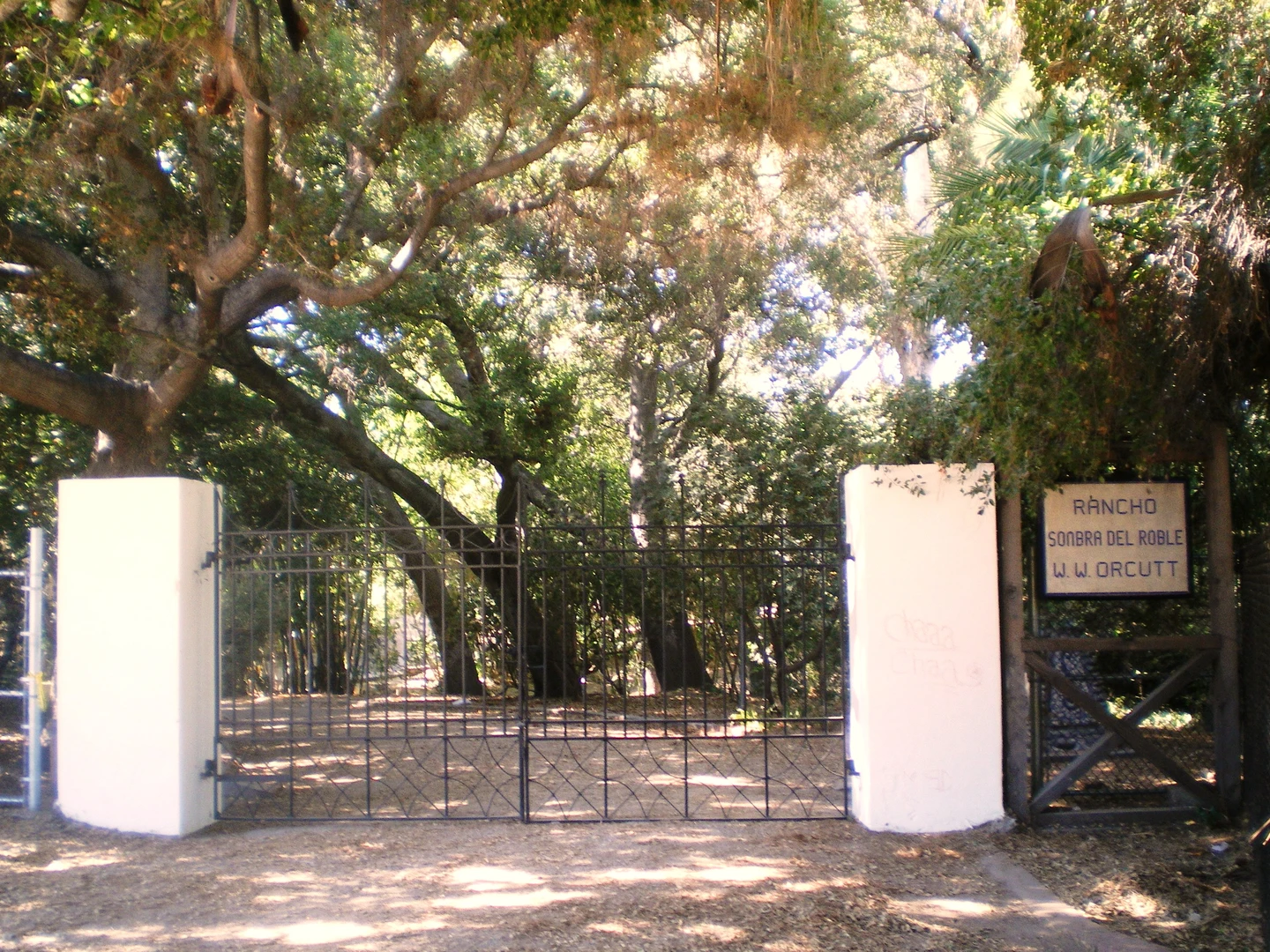An image depicting the trail Orcutt Ranch Horticultural Center Park Loop and its surrounding area.