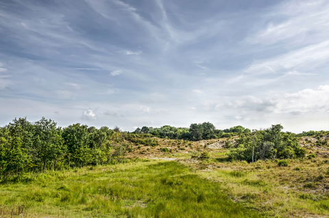 Spartelvijver and Weever's Duin via Locomotiefpad