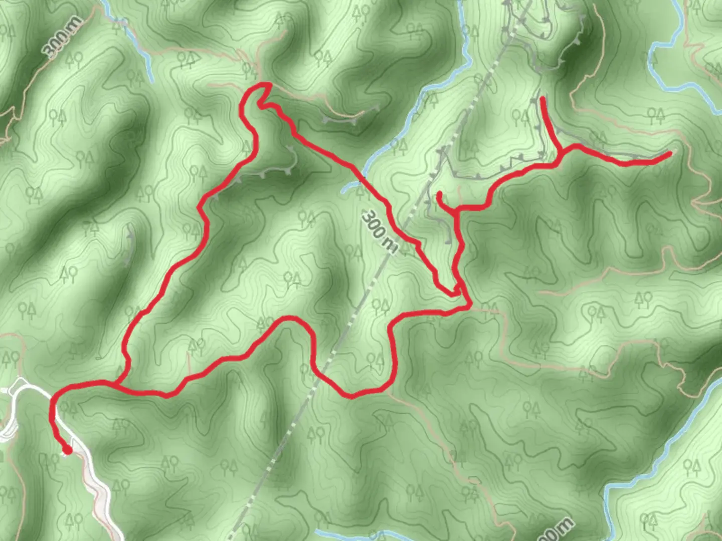 An image depicting the trail Sheltowee Trace Trail, Rough Trail and Hanson's Point Trail and its surrounding area.