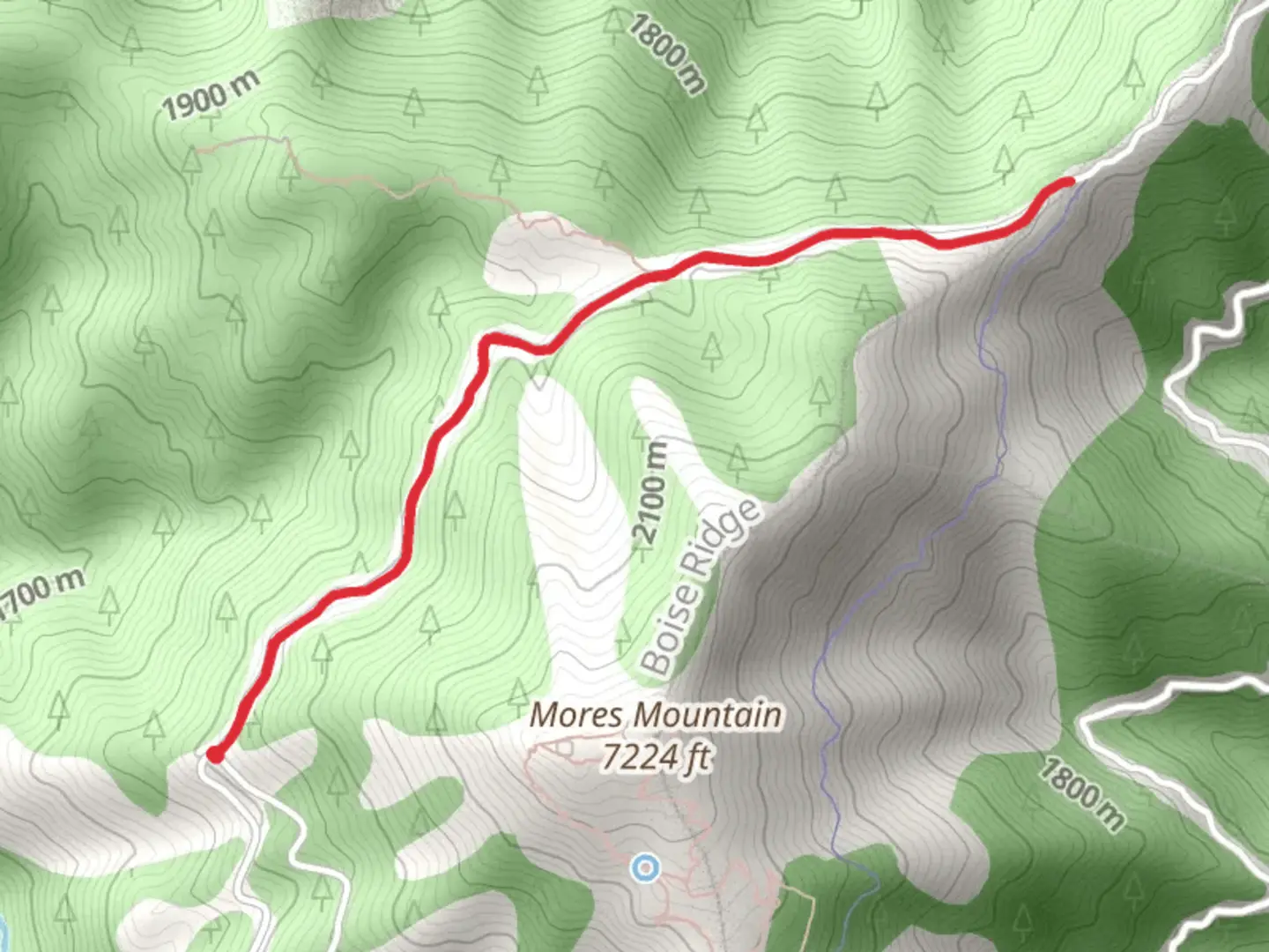 An image depicting the trail Forest Road 374 Walk and its surrounding area.