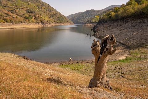 PR G 86 Sendeiro dos viñedos da Ribeira Sacra