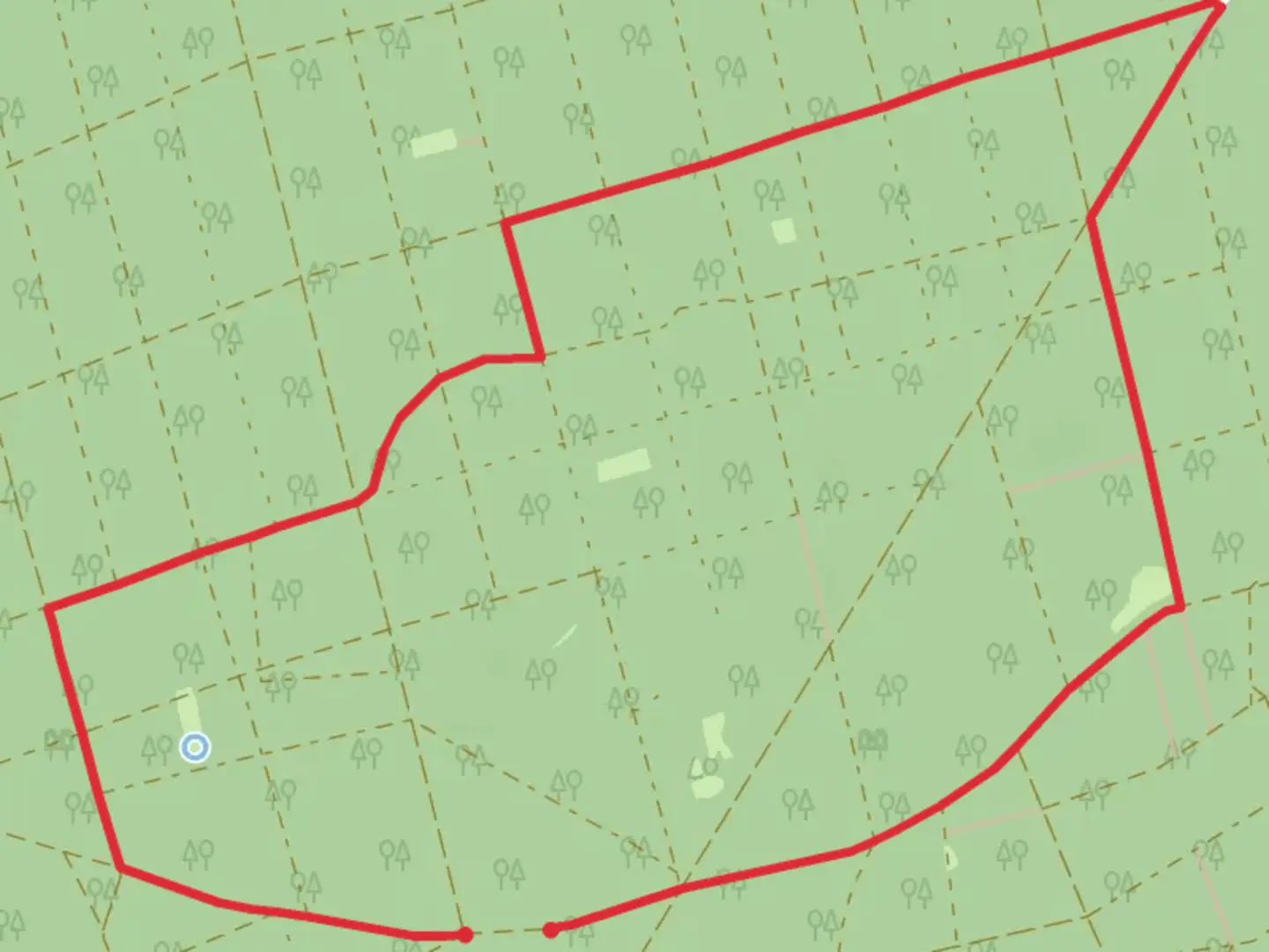 An image depicting the trail Dr Berwig Weg and Lampertheimer Gescheid and its surrounding area.